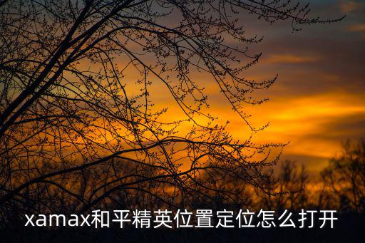 xamax和平精英位置定位怎么打开