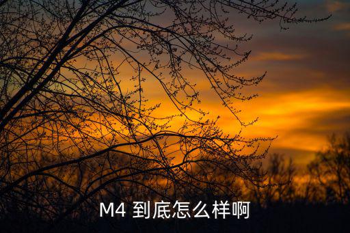 M4 到底怎么样啊