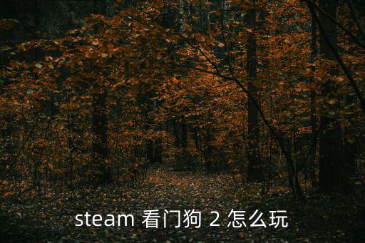 steam 看门狗 2 怎么玩