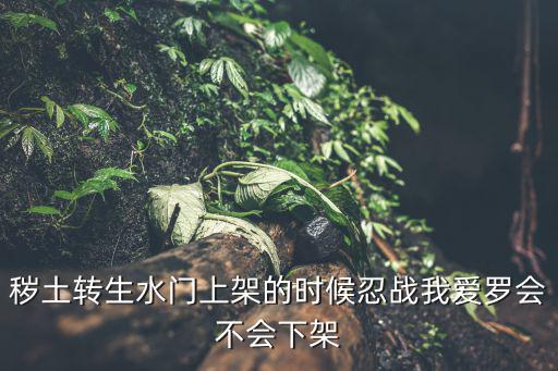 秽土转生水门上架的时候忍战我爱罗会不会下架