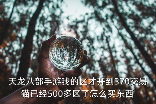 天龙八部手游我的区才开到370交易猫已经500多区了怎么买东西