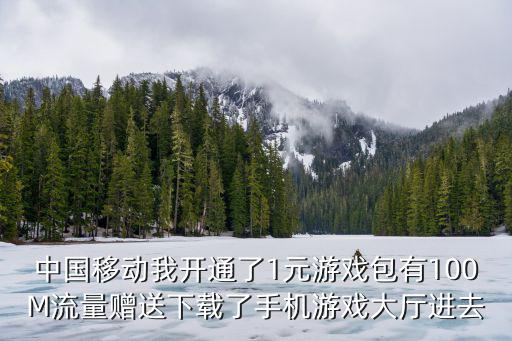 中国移动我开通了1元游戏包有100M流量赠送下载了手机游戏大厅进去