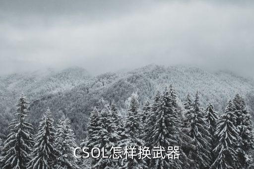 CSOL怎样换武器