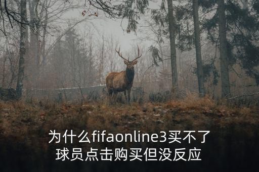 为什么fifaonline3买不了球员点击购买但没反应