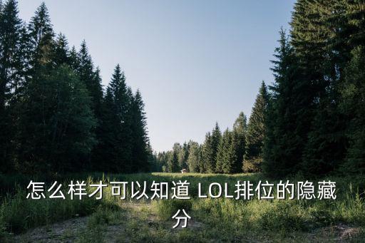 怎么样才可以知道 LOL排位的隐藏分