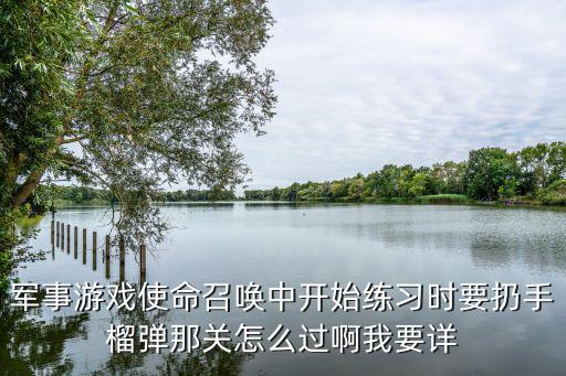 军事游戏使命召唤中开始练习时要扔手榴弹那关怎么过啊我要详