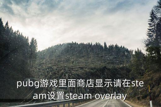 pubg游戏里面商店显示请在steam设置steam overlay