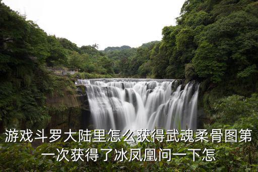 游戏斗罗大陆里怎么获得武魂柔骨图第一次获得了冰凤凰问一下怎