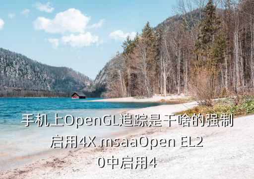 手游怎么强制开msaa16，手机上OpenGL追踪是干啥的强制启用4X msaaOpen EL20中启用4