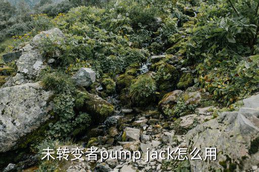 未转变者pump jack怎么用