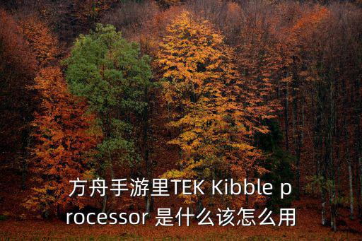 方舟手游里TEK Kibble processor 是什么该怎么用