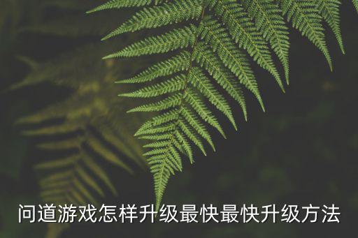 问道手游烟花大会怎么升级快，问道游戏怎样升级快