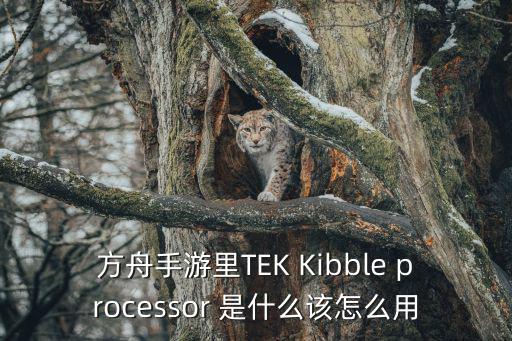 方舟手游里TEK Kibble processor 是什么该怎么用