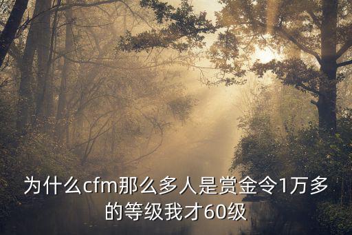 为什么cfm那么多人是赏金令1万多的等级我才60级