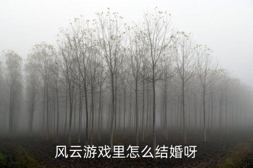 风云游戏里怎么结婚呀