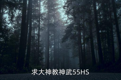 求大神教神武55HS