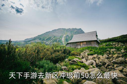 天下手游去新区冲级前50怎么最快