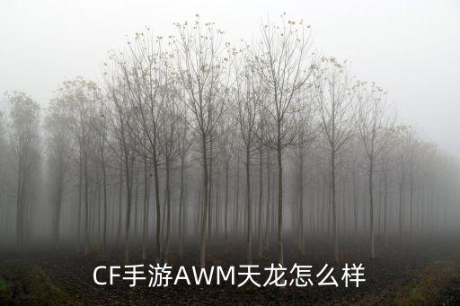 CF手游AWM天龙怎么样