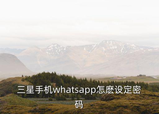 三星手机whatsapp怎麽设定密码