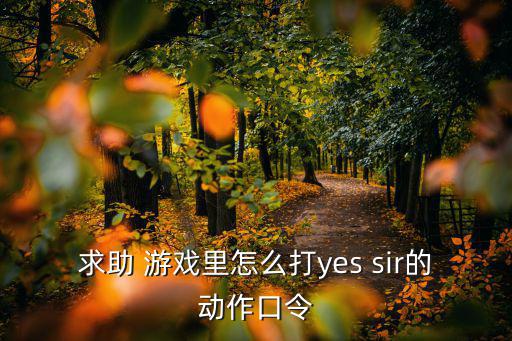 求助 游戏里怎么打yes sir的动作口令