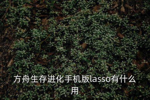 方舟生存进化手机版lasso有什么用