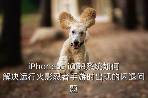 iPhone5s iOS8系统如何解决运行火影忍者手游时出现的闪退问题