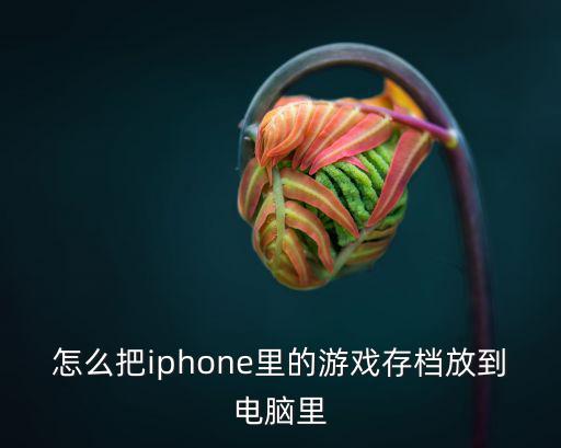 怎么把iphone里的游戏存档放到电脑里