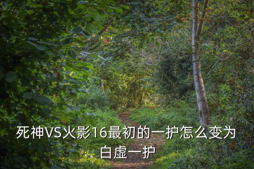 死神VS火影16最初的一护怎么变为白虚一护