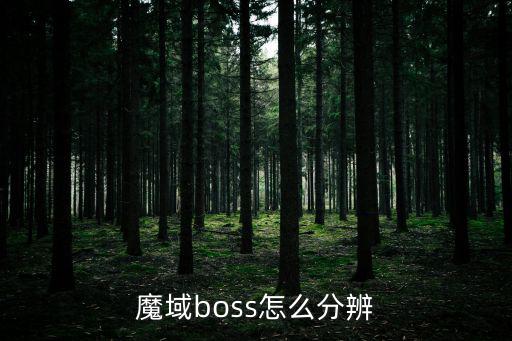 魔域boss怎么分辨