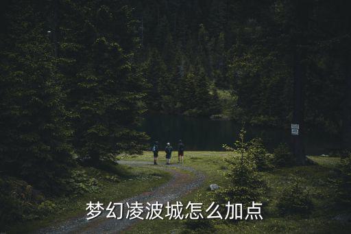 梦幻凌波城怎么加点