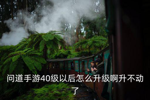 问道手游网游号怎么升级，问道手游40级以后怎么升级啊升不动了