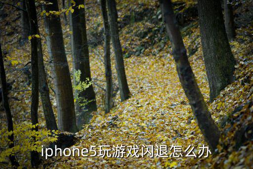 怎么解决玩方舟手游闪退苹果5，IPHONE5S碰到游戏闪退如何解决