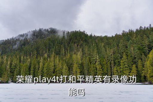 荣耀play4t打和平精英有录像功能吗