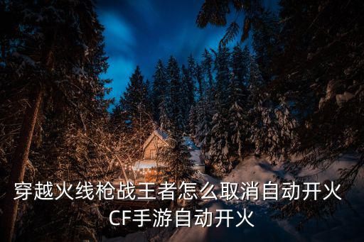 穿越火线枪战王者怎么取消自动开火 CF手游自动开火