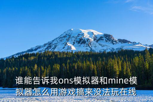 谁能告诉我ons模拟器和mine模拟器怎么用游戏搞来没法玩在线