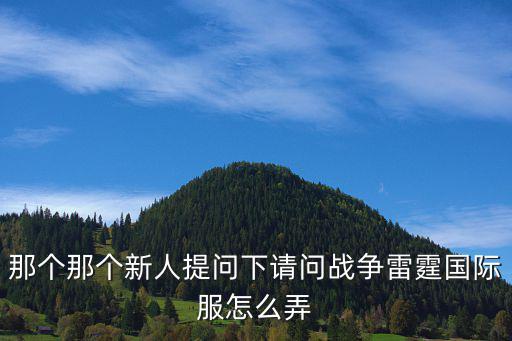 那个那个新人提问下请问战争雷霆国际服怎么弄