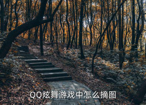 炫舞手游怎么隐藏图片，QQ炫舞游戏中怎么摘图