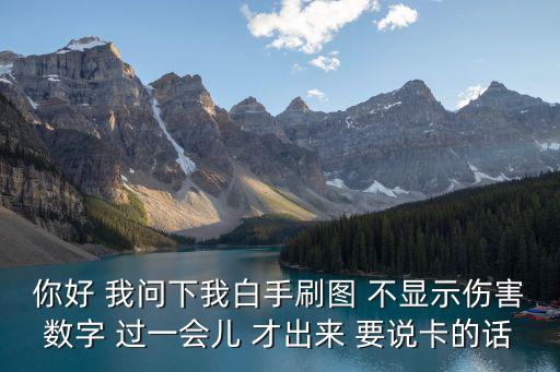 你好 我问下我白手刷图 不显示伤害数字 过一会儿 才出来 要说卡的话