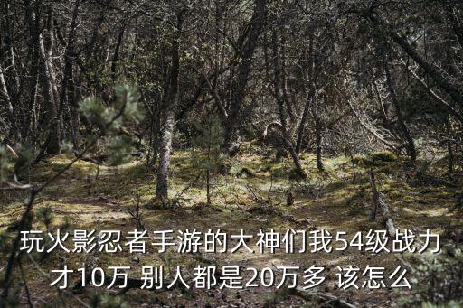 玩火影忍者手游的大神们我54级战力才10万 别人都是20万多 该怎么