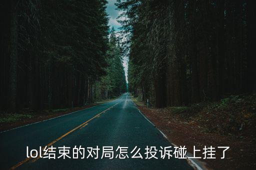 lol结束的对局怎么投诉碰上挂了