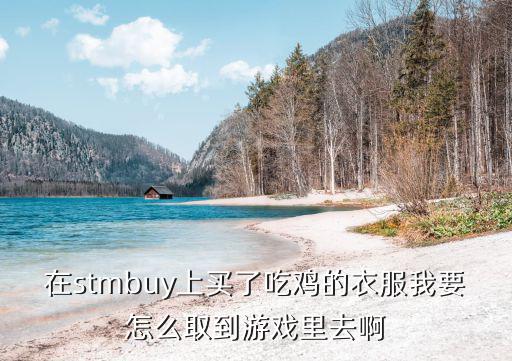 在stmbuy上买了吃鸡的衣服我要怎么取到游戏里去啊