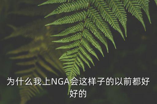 为什么我上NGA会这样子的以前都好好的