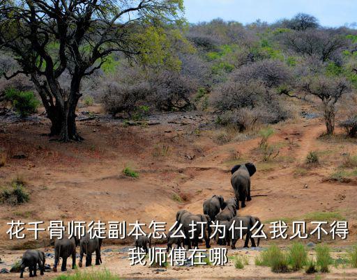 花千骨师徒副本怎么打为什么我见不得我师傅在哪