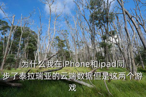 为什么我在iPhone和ipad同步了泰拉瑞亚的云端数据但是这两个游戏