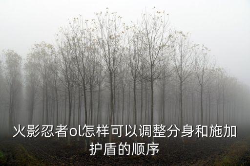 火影忍者ol怎样可以调整分身和施加护盾的顺序