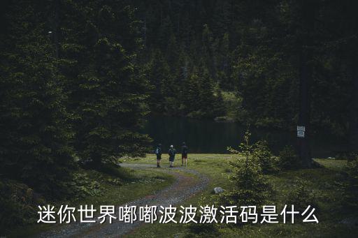 迷你世界嘟嘟波波激活码是什么