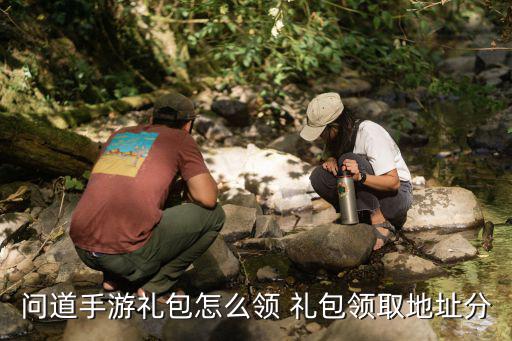 问道手游礼包怎么领 礼包领取地址分