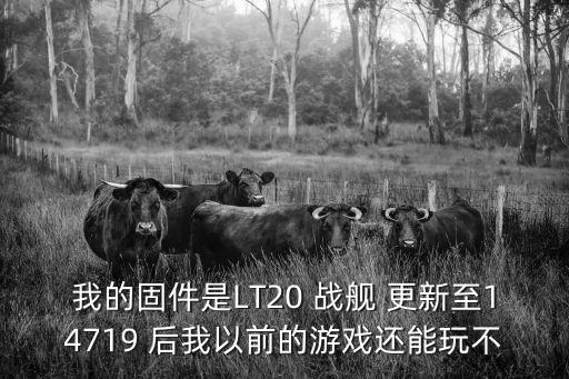 我的固件是LT20 战舰 更新至14719 后我以前的游戏还能玩不