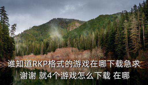 谁知道RKP格式的游戏在哪下载急求 谢谢 就4个游戏怎么下载 在哪