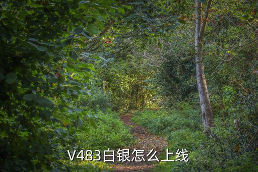 V483白银怎么上线